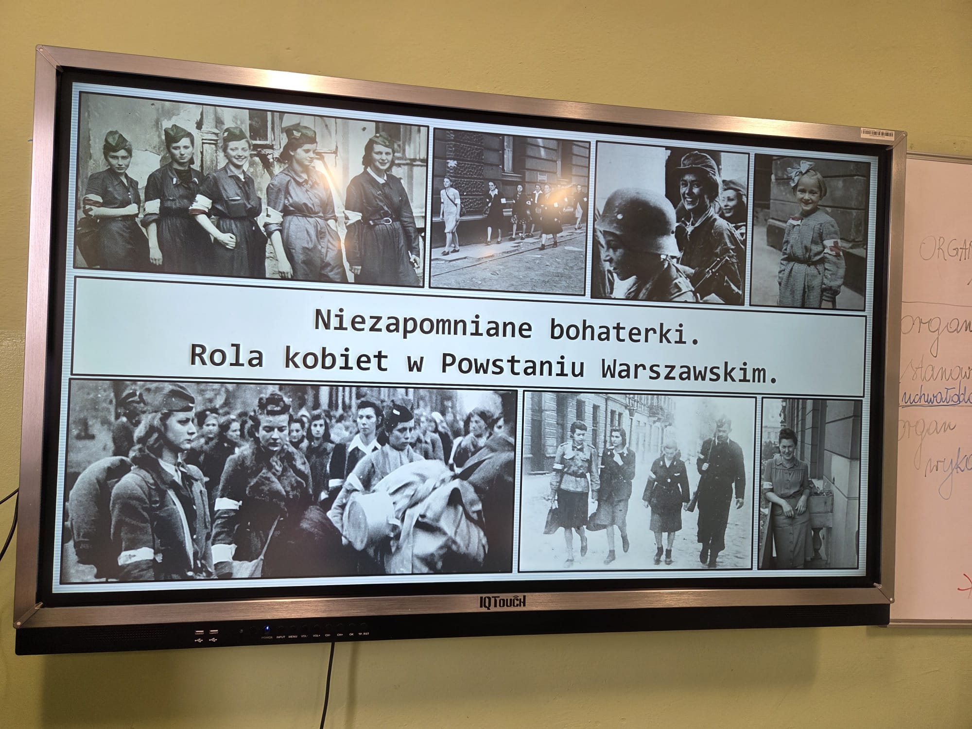 WhatsApp Image 2026 01 12 at 17.45.11 3