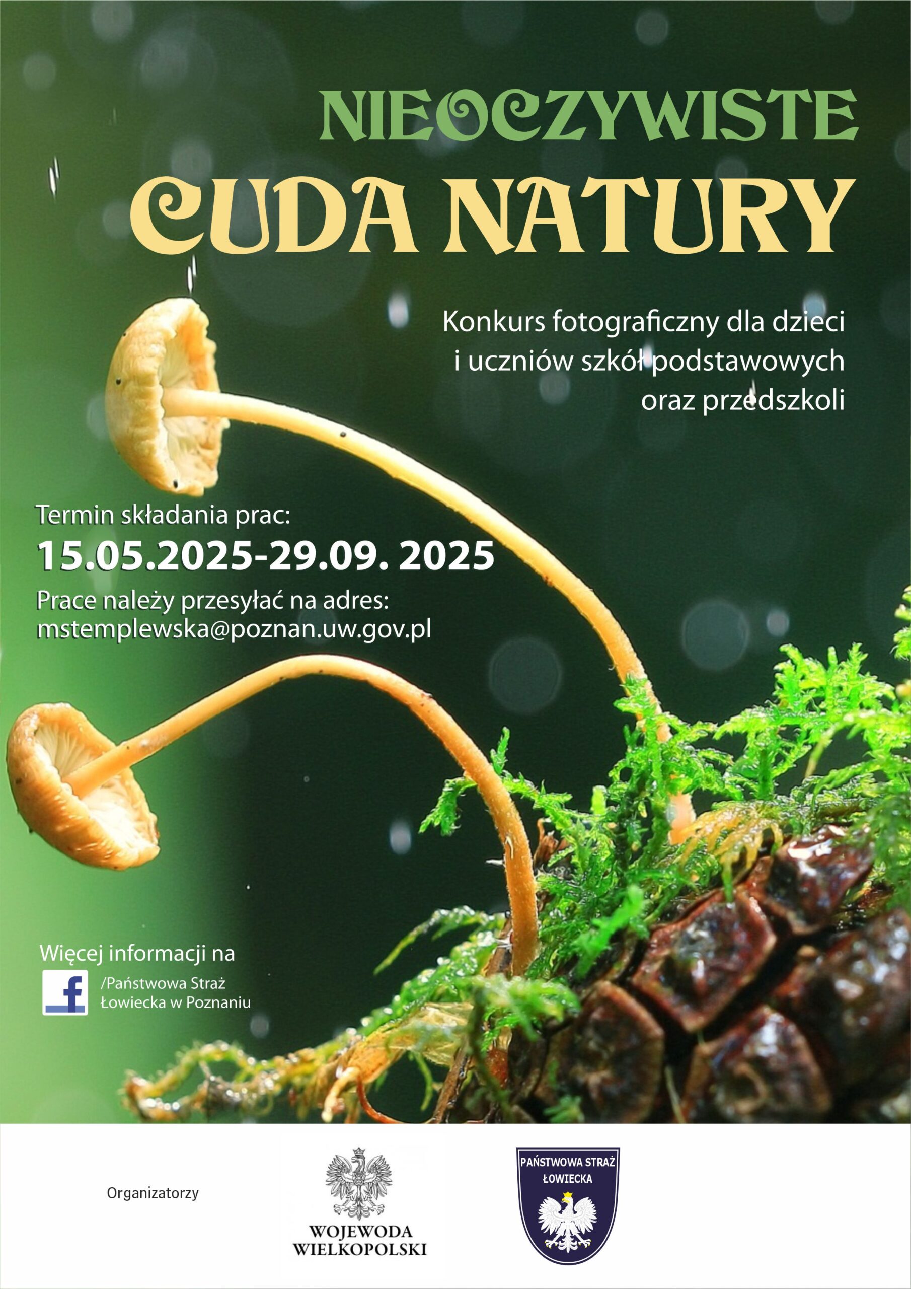 NCN plakat 3 scaled 1